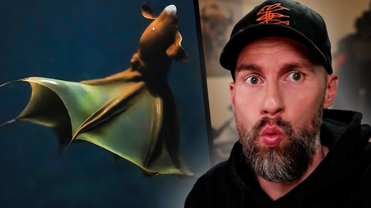 KRASSE AUFNAHMEN! Octopoden in der Tiefsee gefilmt | Robert Marc Lehmann