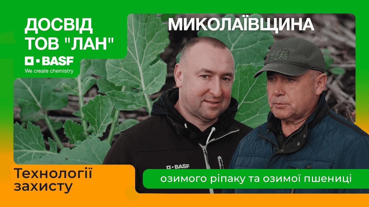 Технології захисту озимого ріпаку та озимої пшениці. Досвід ТОВ “Лан”, Миколаївщина