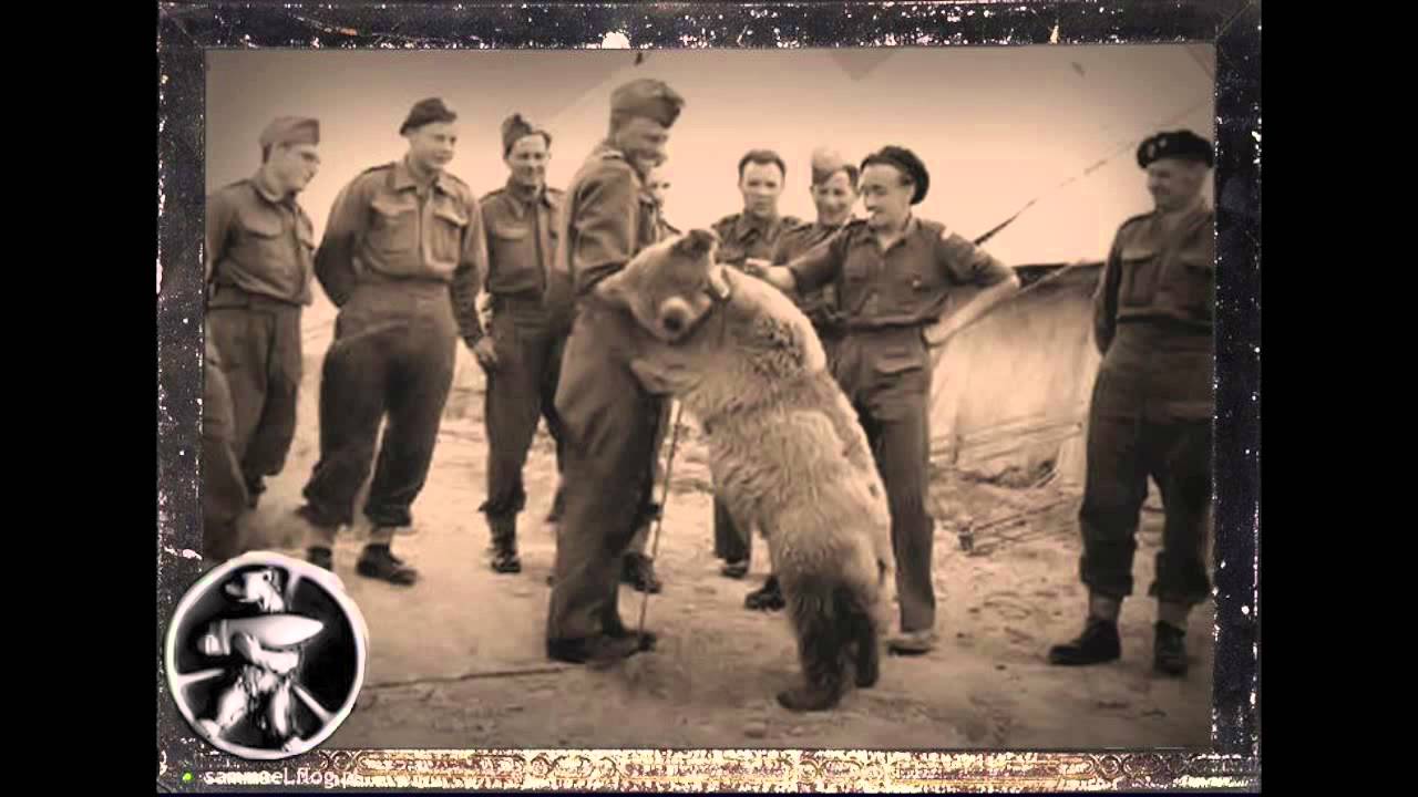 Kapral Wojtek - Jacek Stęszewski