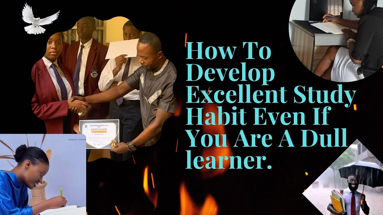 How To Develop An Excellent Study Habit Even If You're A Dull Learner