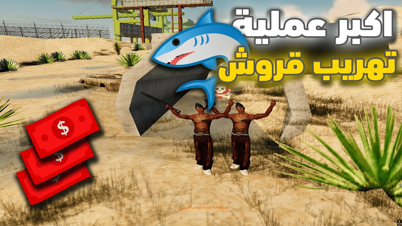 اكبر عملية تهريب قروش 🦈تجربه تهريب جديد🤯| ULG MTA