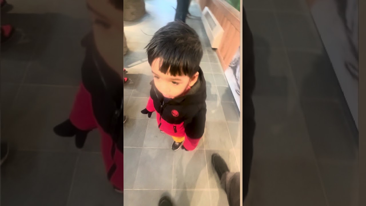 हम बच्चों को अमेरिका में सांप दिखाने ले गए।