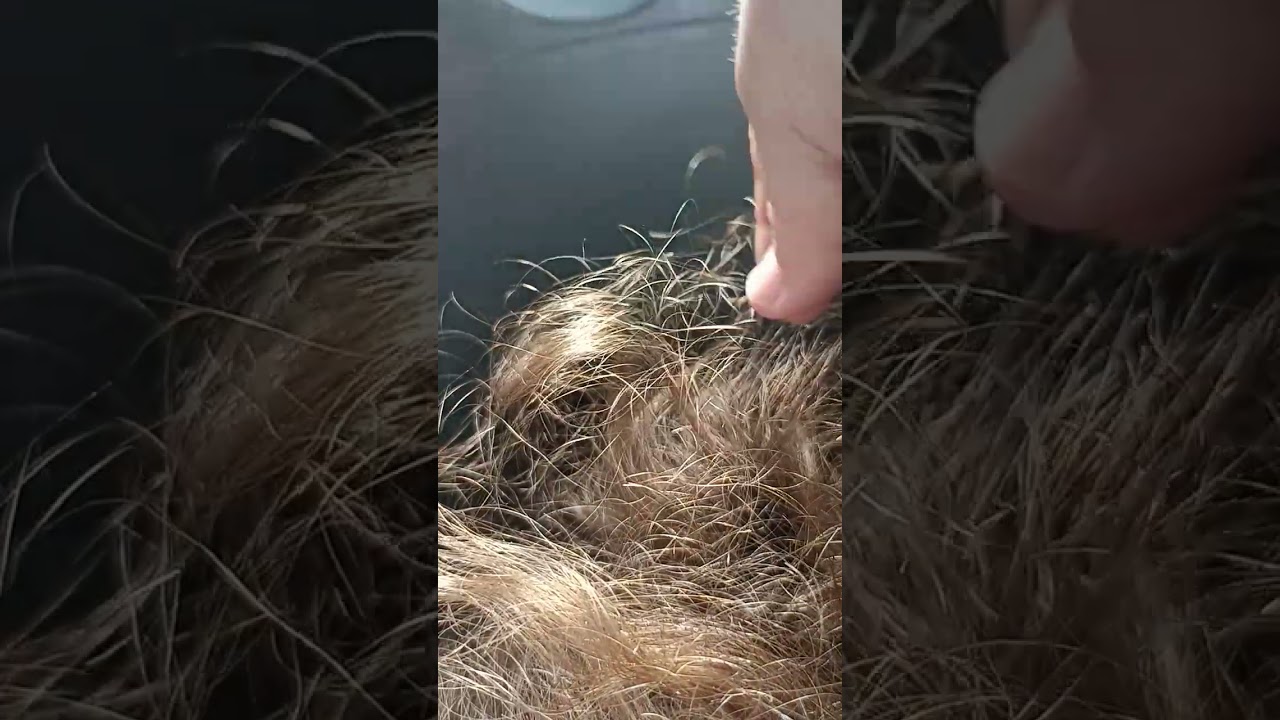finding split ends