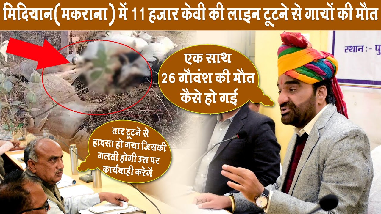 एक साथ 26 गोवंश म'र गये ओर आप नींद में सौ रहे हो - हनुमान बेनीवाल #hanumanbeniwal #srmedia