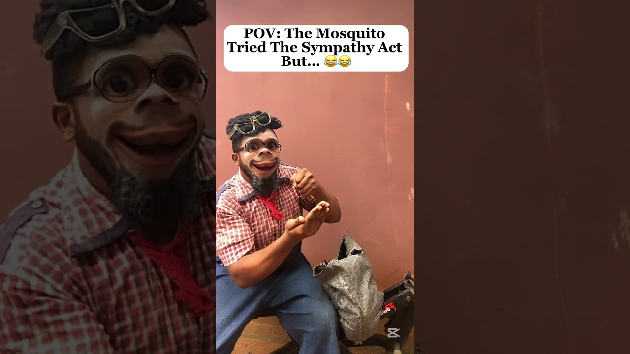 The Mosquito Tried The Sympathy Act 😂😂😂 