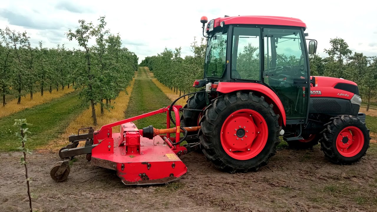 Koszenie trawy w sadzie 2021 Kubota L5040 kosiarka MCMS Warka grass mowing orchard