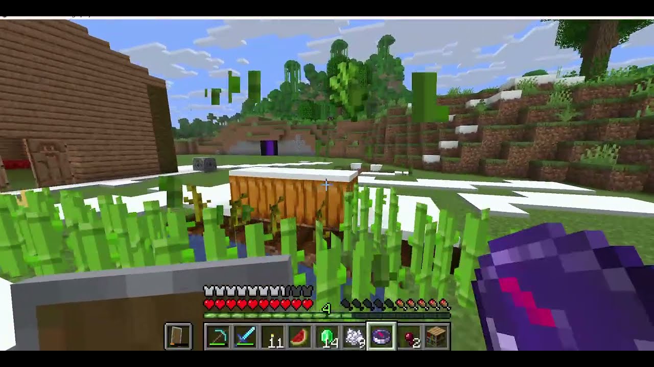 Minecraft Episode 11:Villagers