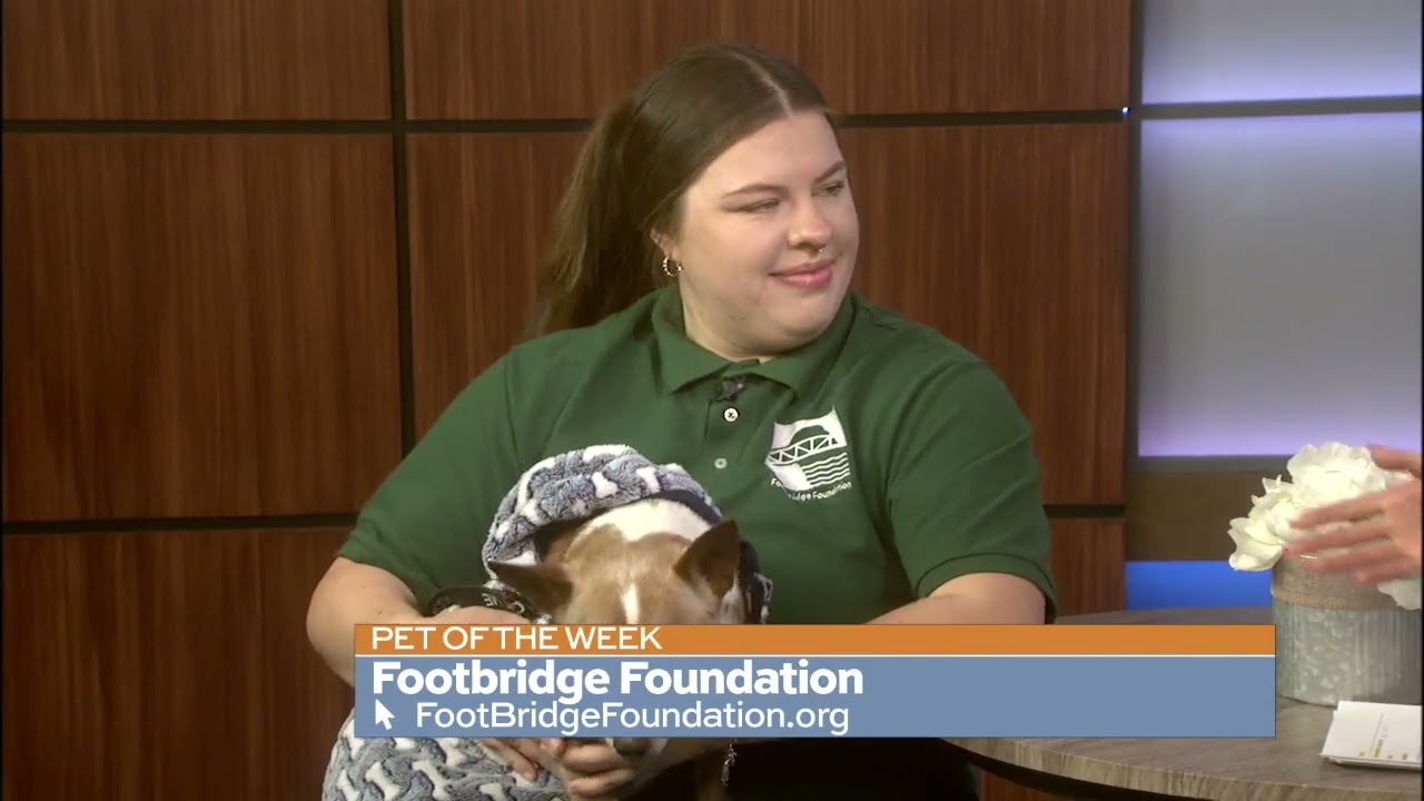 Socks makes his TV Debut!