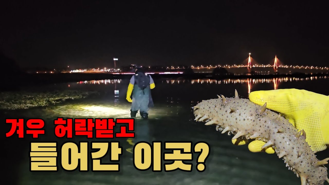 통제된 곳 겨우 허락받고 들어갔더니 역대급이 나옵니다