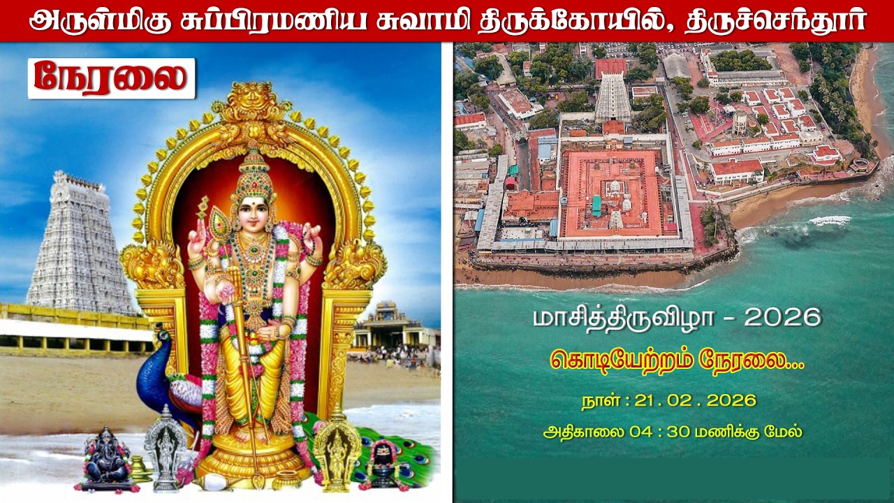மாசித்திருவிழா || கொடியேற்றம்: 21.02.2026 | சுப்ரமணிய சுவாமி திருக்கோயில் ,திருச்செந்தூர்|| நேரலை ..
