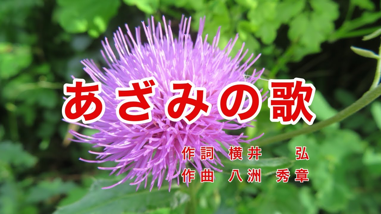 あざみの歌｜ラジオ歌謡｜歌詞付き｜山には山の 愁いあり