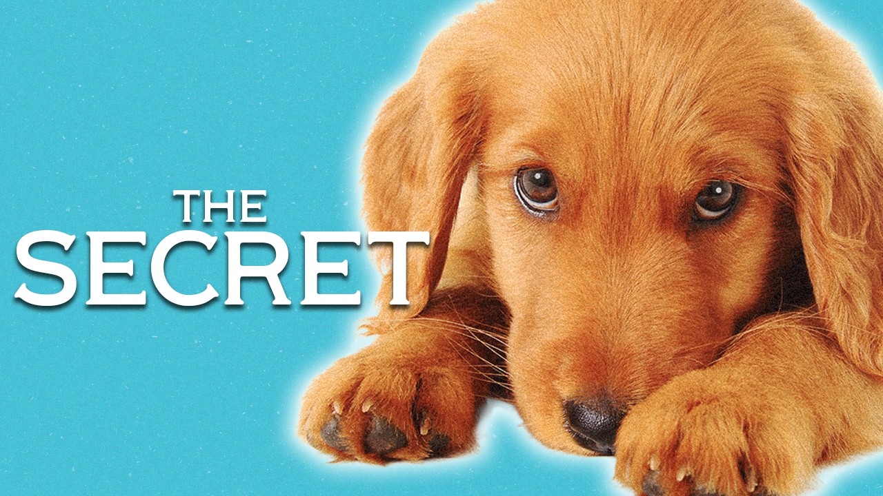Why Golden Retrievers Are The Perfect Family Dog