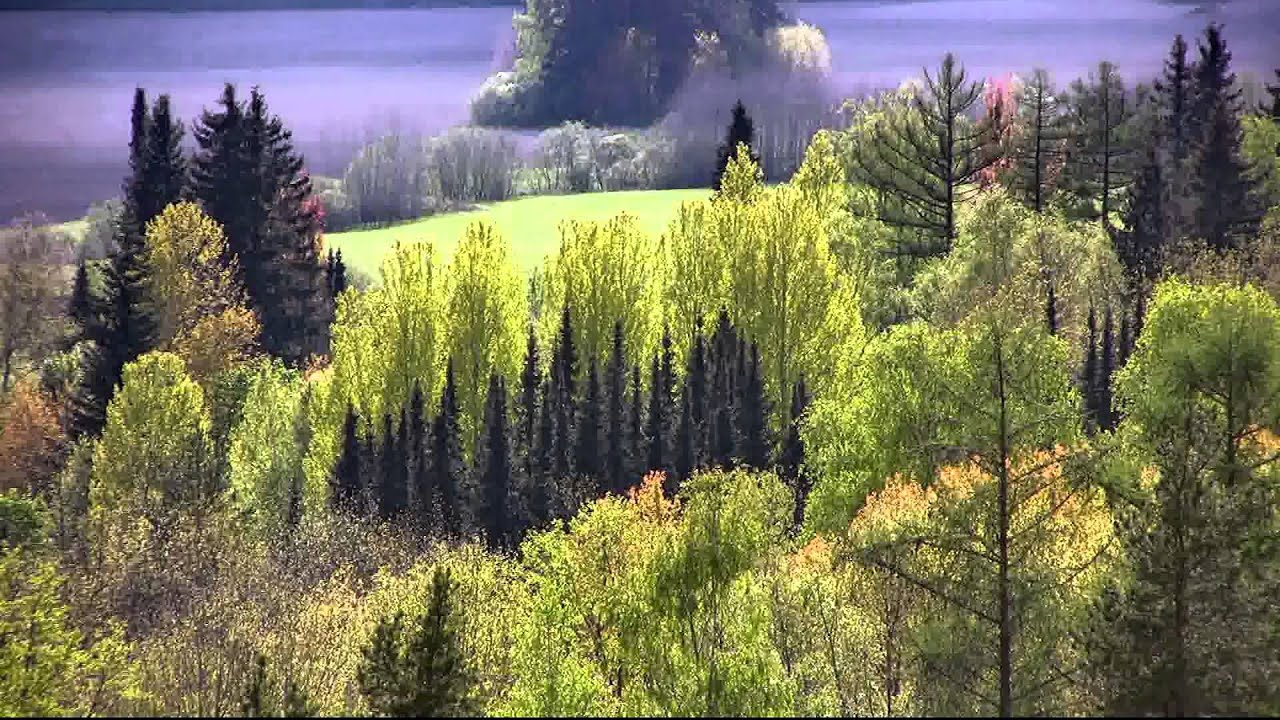 Arboretum Mustila, Elimäki, Finland