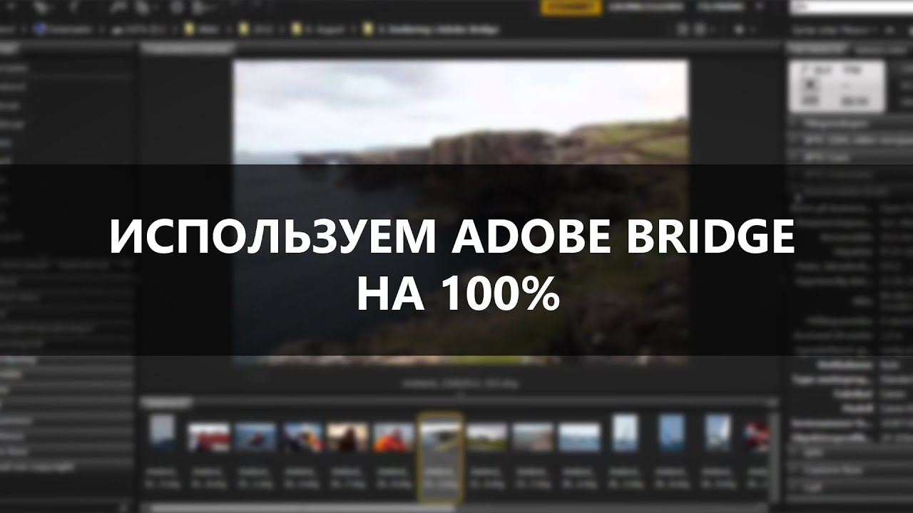 Используем Adobe Bridge на 100%