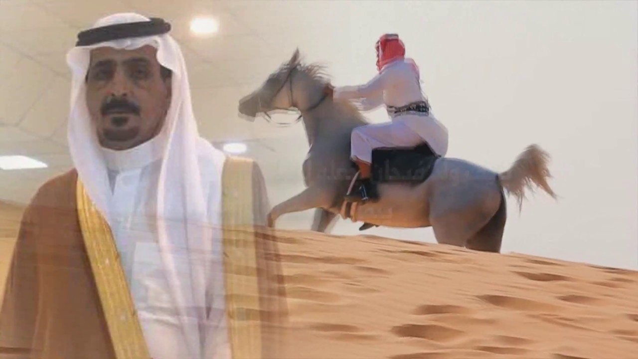 مالي عذر | كلمات محمد بن مشعان / شهاب حرب | أداء عبدالعزيز الفيفي