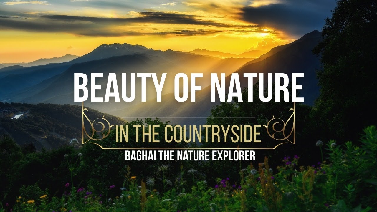 Beauty of Nature 