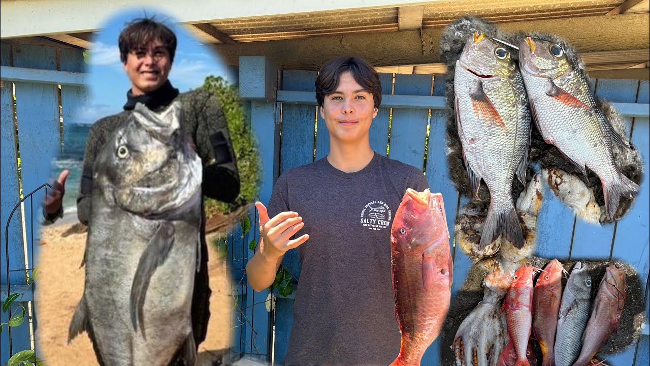 HAWAII DEEP REEF SPEARFISHING FOR TROPHY FISH uku,mu,Kali’ulua’ and more!