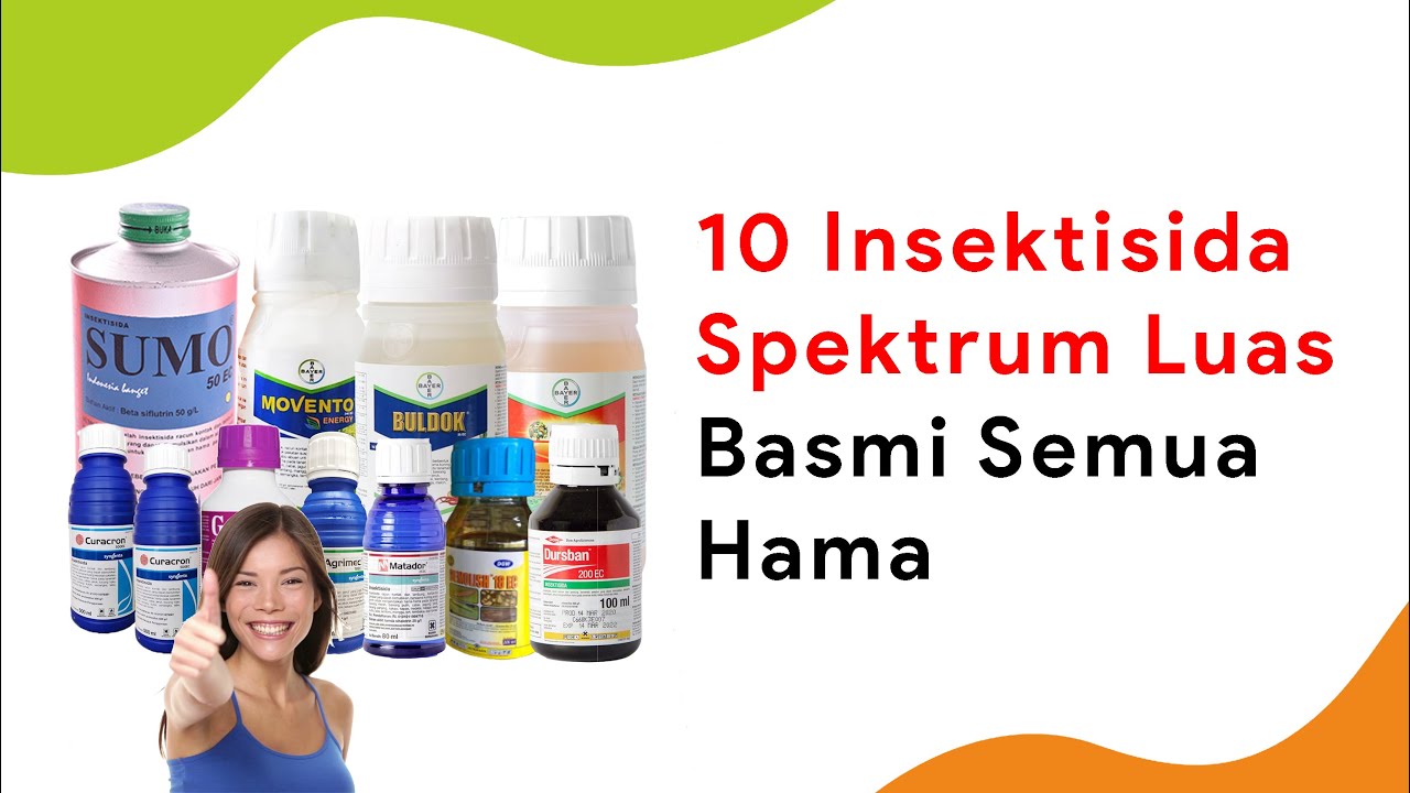 Top 10 Insektisida Serba Bisa, Basmi Semua Hama Tanaman Cabe