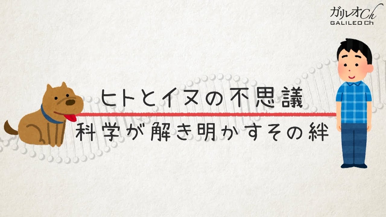 【ヒトはなぜこんなにイヌが好きなのだろう】ヒトとイヌの不思議 科学が解き明かすその絆 | ガリレオX 第164回