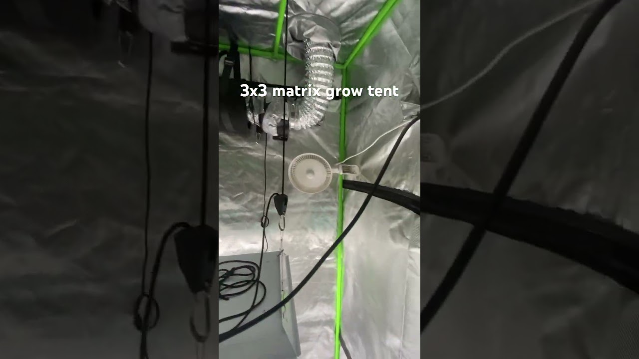 3x3 matrix grow tent #plants #growtent #goviral