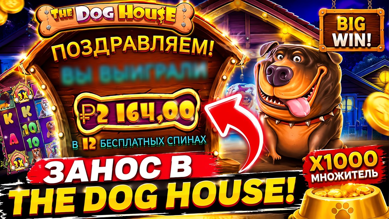 DRAGON MONEY ПРОВЕРКА С НИЩЕНСКОГО БАЛАНСА 🔥 | ПОЙМАЛ ЛЮТЕЙШИЙ ЗАНОС