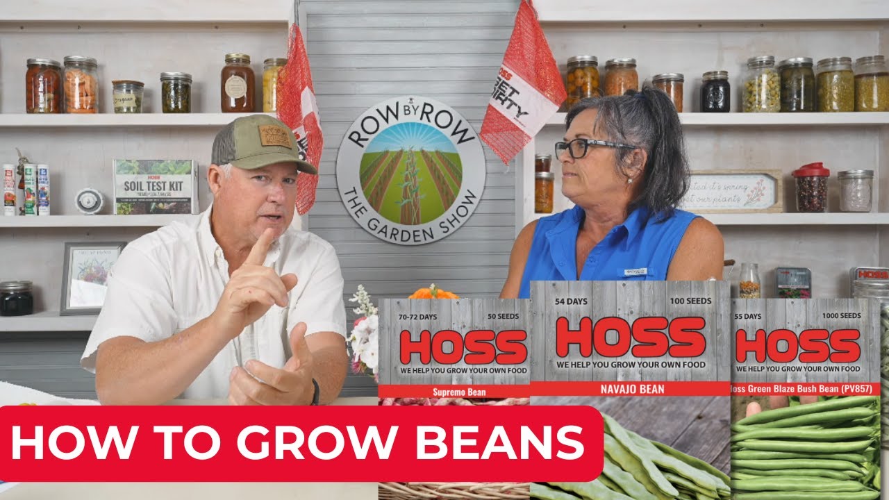 Growing Beans In The Garden | Bean Growing Strategy