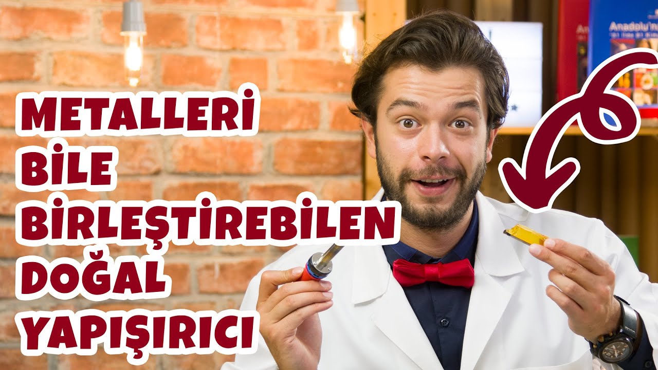 Metalleri Bile Birleştirebilen Doğal Yapıştırıcı