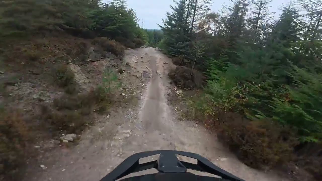 Hamsterley Forest | The best bits | eMTB | POV