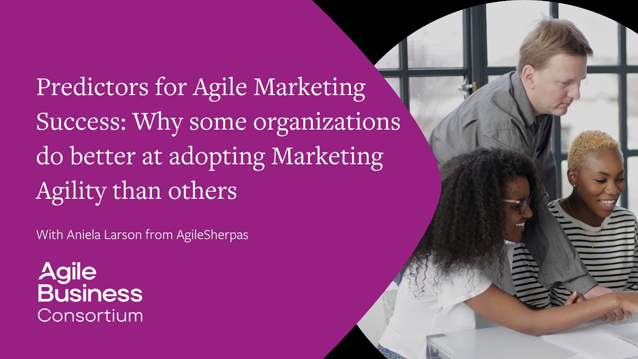 Predictors for Agile Marketing Success