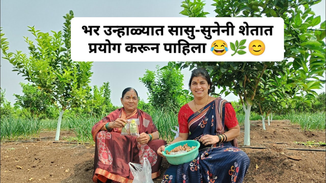 शेतात आज एक प्रयोग करून पाहिला … आणि तो यशस्वी झाला! 🌱🌿😊