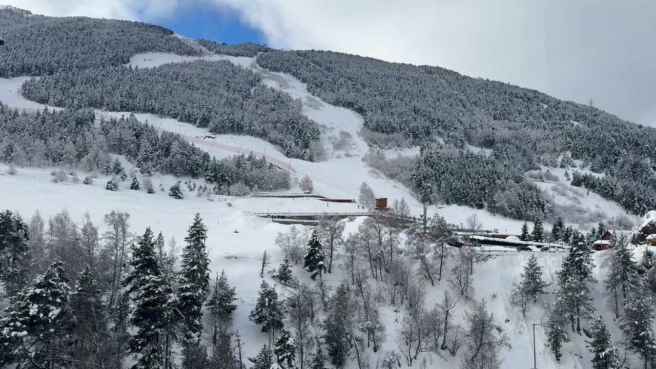 WINTER AMBIENCE ❄️ Snow • Silence • 8 Hours | Calm Winter Nature for Focus & Relaxation