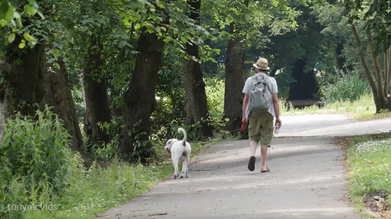 Visit to queens park, Heywood