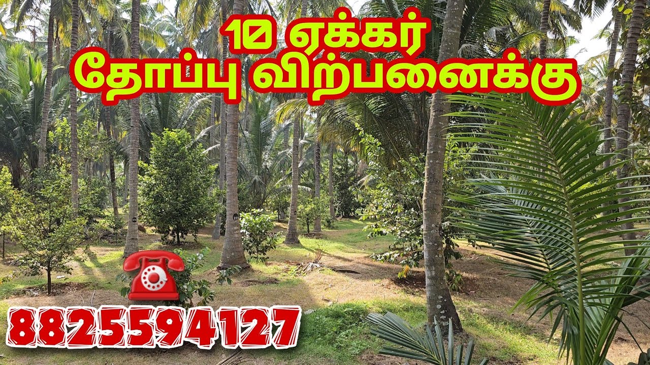 10 acre coconut trees for sale/farm land for sale in pollachi-Aliyar near/📲8825594127/call soon