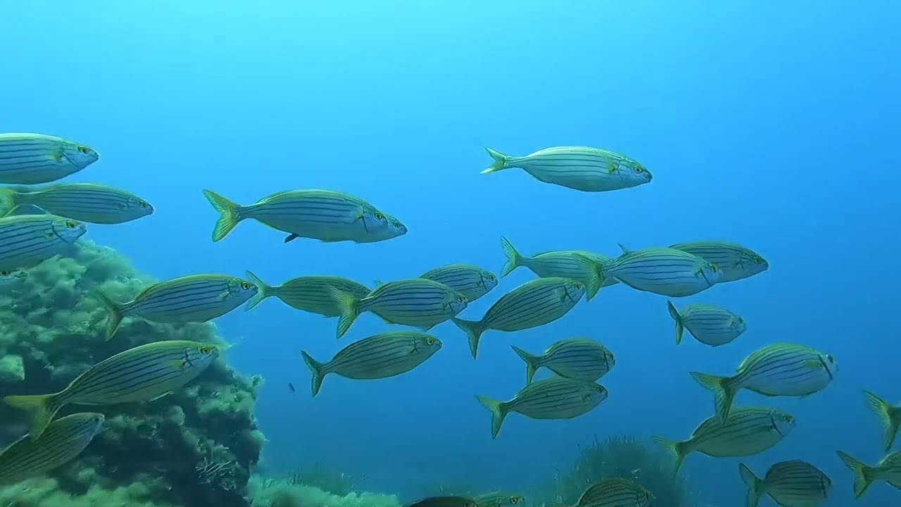 Calan Forcat - Menorca