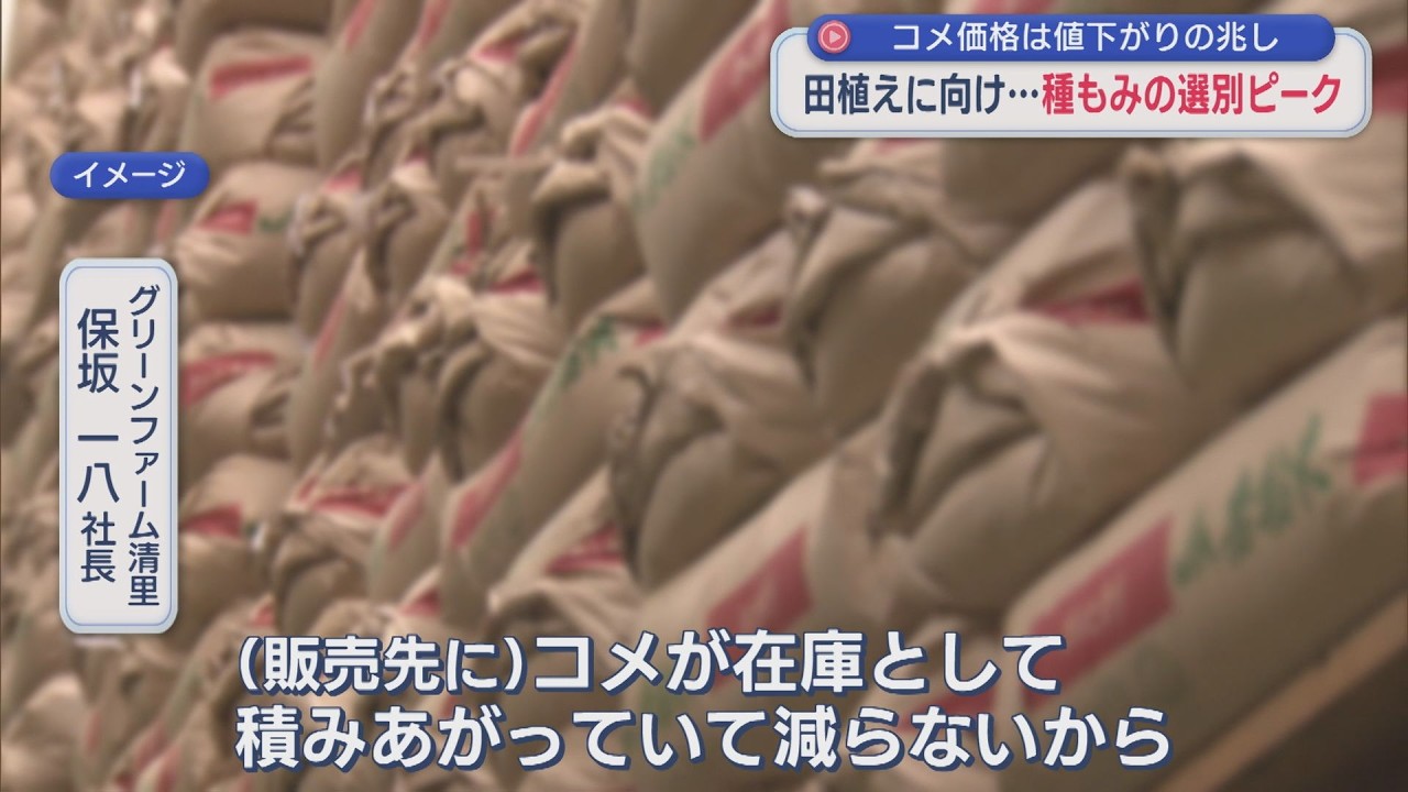 コメ価格は値下がりの兆し、種もみの選別ピークのコメ農家「暴落を懸念」理由は【新潟･上越市】スーパーJにいがた2月17日OA