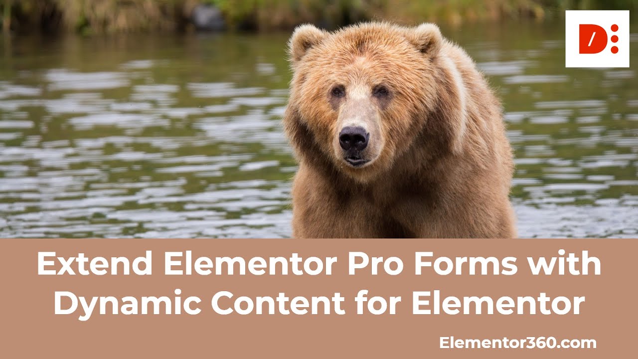 Extend Elementor Pro Forms with Dynamic Content for Elementor