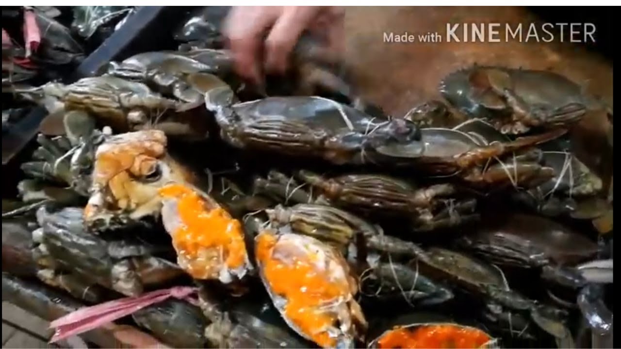 Harga & Cara Pilih Ketam Dari Tauke Seafood Sabah