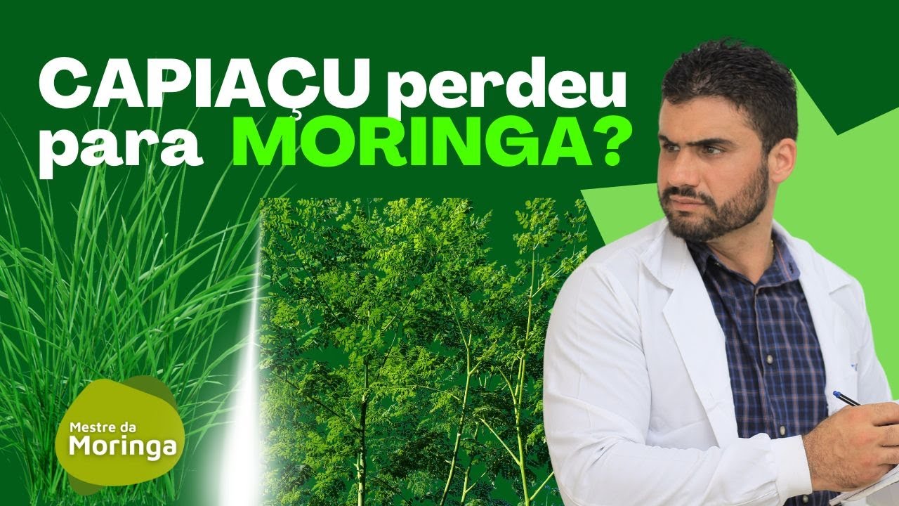 MORINGA AMEÇA O CAPIAÇU? **Mestre Arthur avisa!!!**