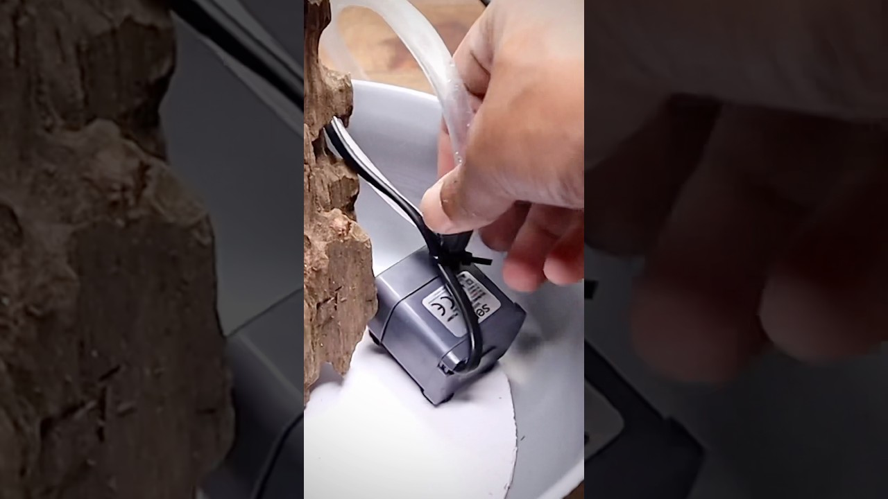 Paludarium with DIY Waterfall