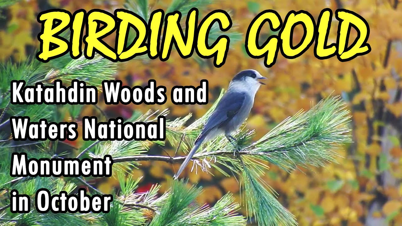 Katahdin Woods & Waters National Monument in October