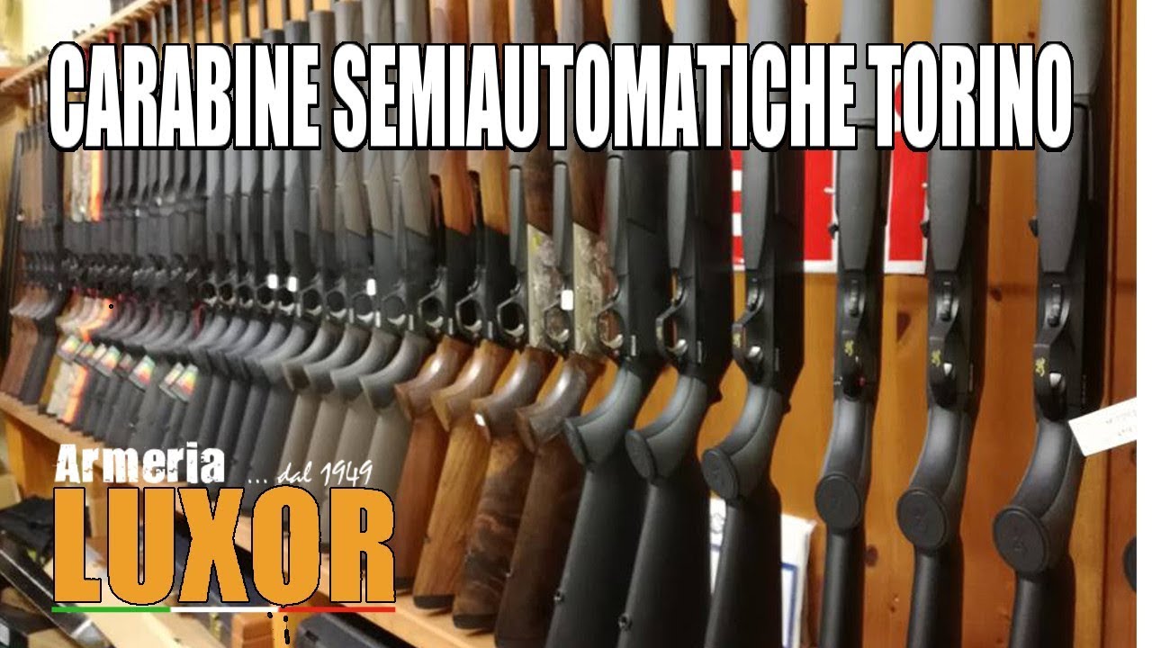 Carabine semiautomatiche da battuta Torino