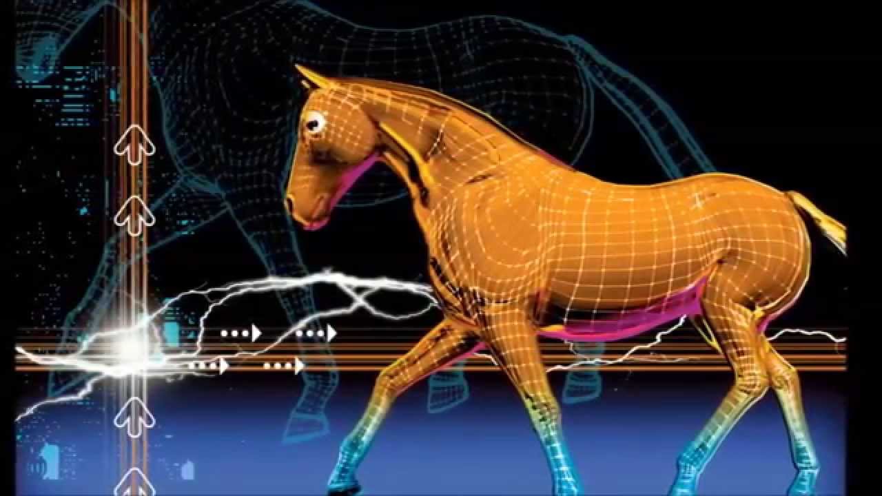 HABIT (Horse Automated Behaviour Identification Tool) - an introduction