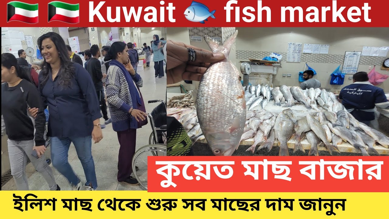 ইলিশ মাছ থেকে শুরু সব মাছের দাম জানুন | কুয়েত মাছ মার্কেট | Kuwait Fish Market