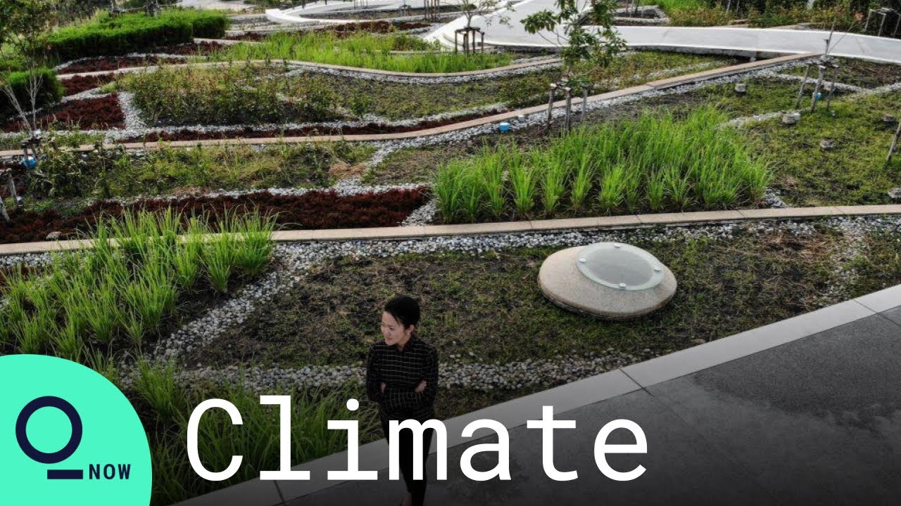 Meet the Woman Behind Asia's Largest Urban Rooftop Farm