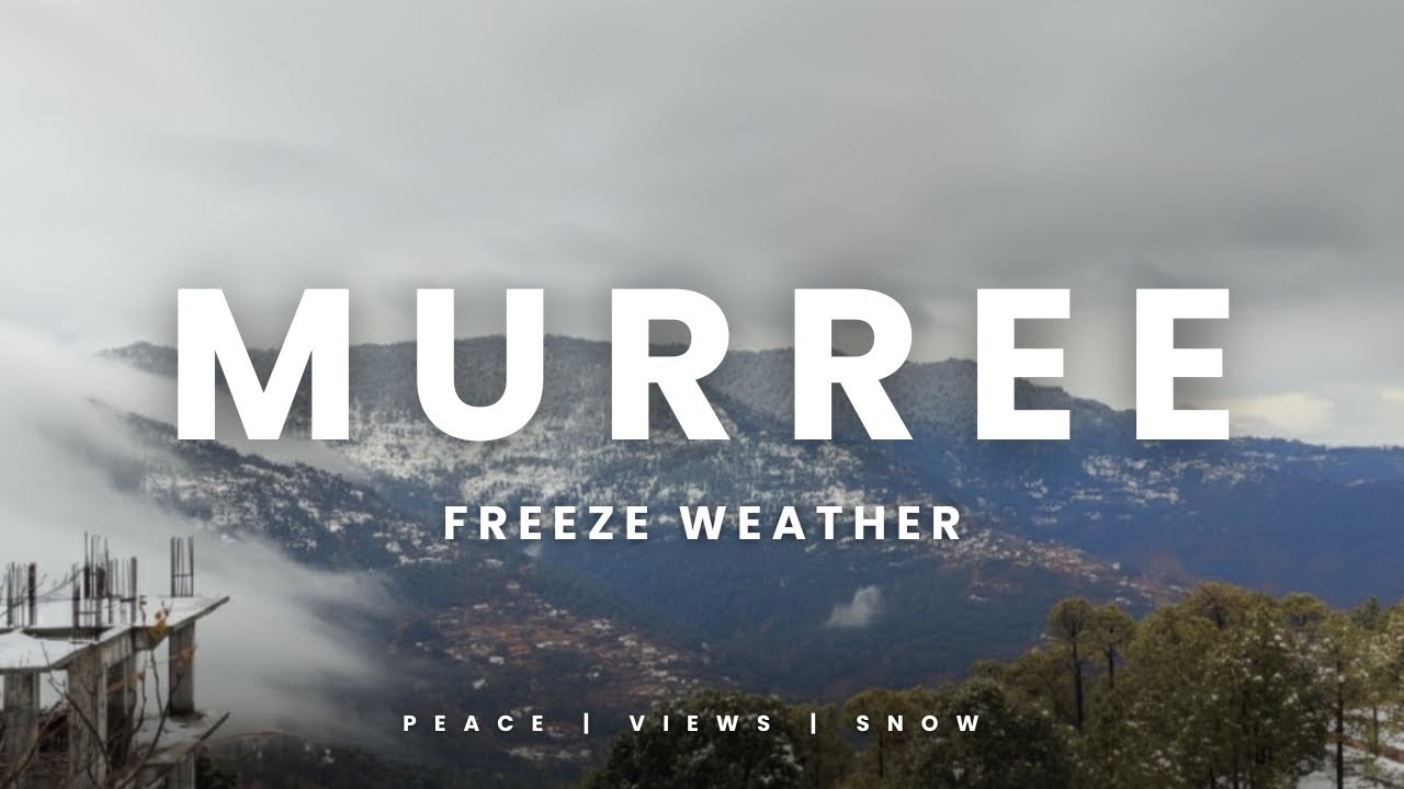 🥶🥶❄️ 