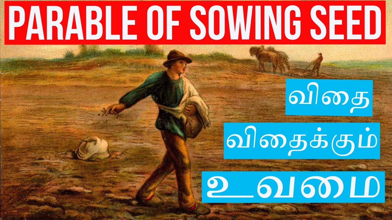 Parable of sowing seed|Tpm Message|Share&Subscribe|
