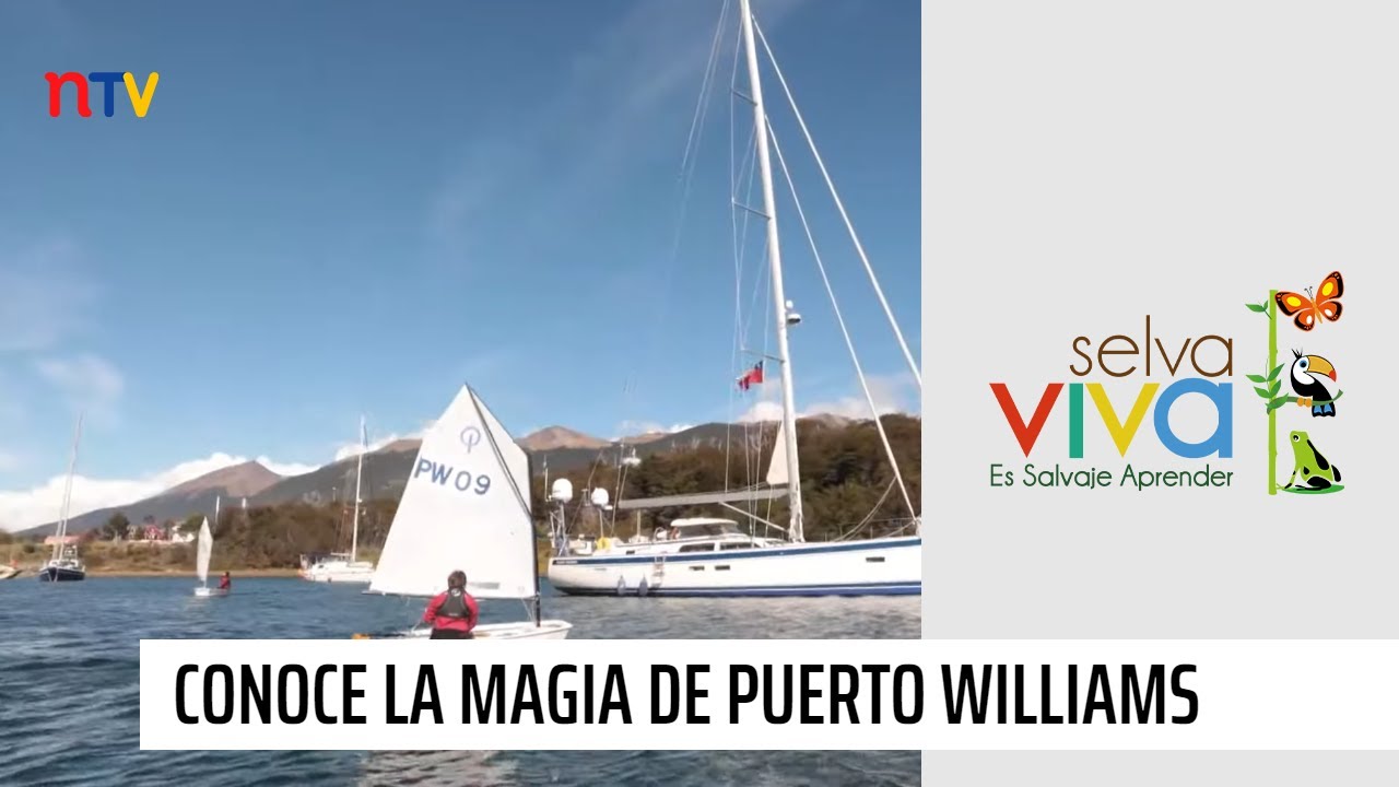 Selva Viva Patagonia en NTV: La magia de Puerto Williams