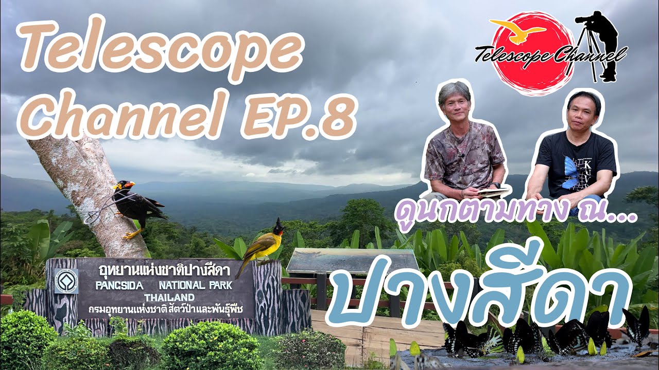 Telescope Channel EP.8 ดูนกตามทาง ณ...ปางสีดา