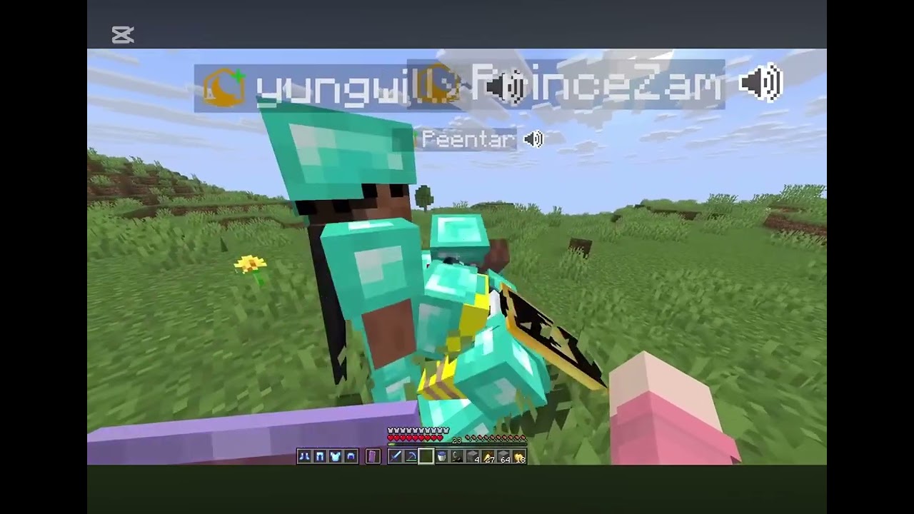 THE FUNNIEST TEAM BING VC ON THE LIFESTEAL SMP