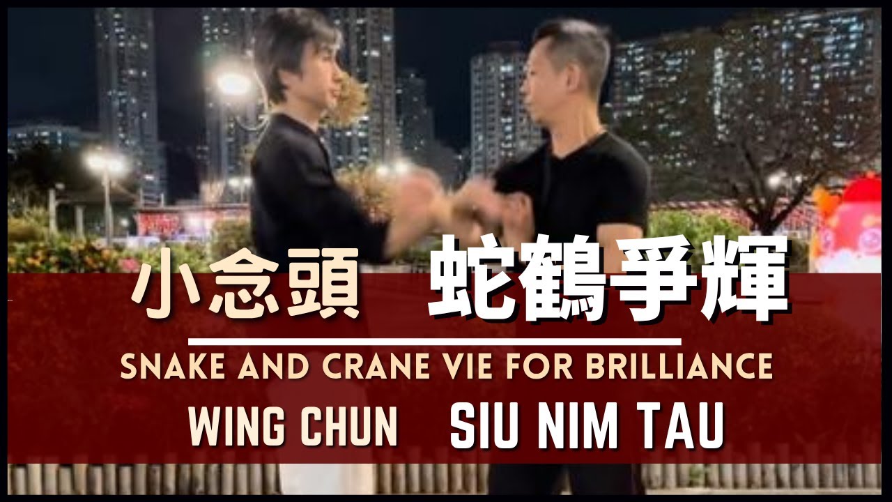 Wing Chun- Siu Nim Tau -Snake and crane vie for brilliance. 小念頭 - 蛇鶴爭輝